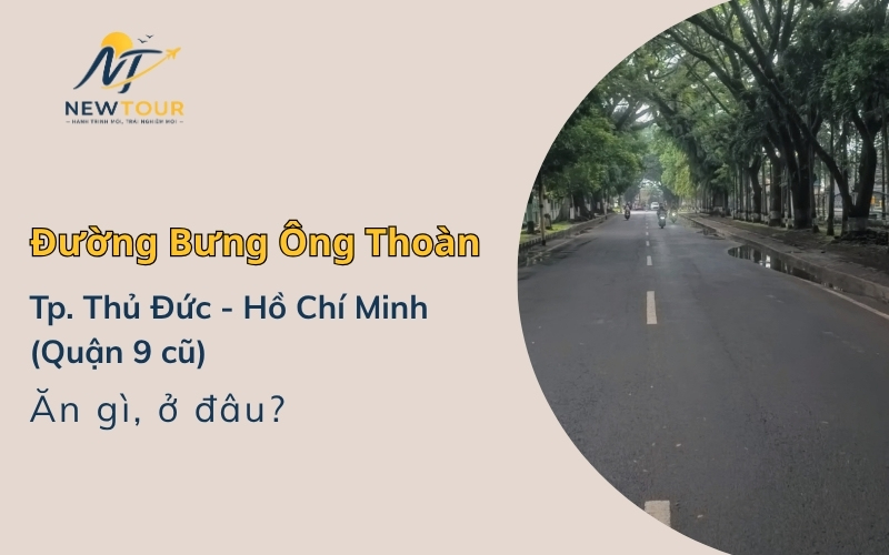 đường Bưng Ông Thoàn ở Thủ Đức, Hồ Chí Minh