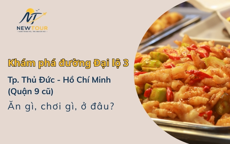 đường Đại lộ 3 ở Thủ Đức, Hồ Chí Minh